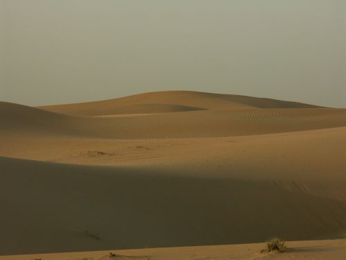 Dykuma, Smėlis, Kopos, Dubai, Uae, Sahara
