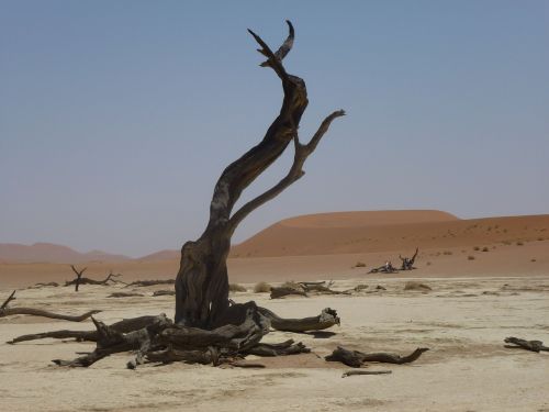 Dykuma, Namibija, Kraštovaizdis, Kelionė