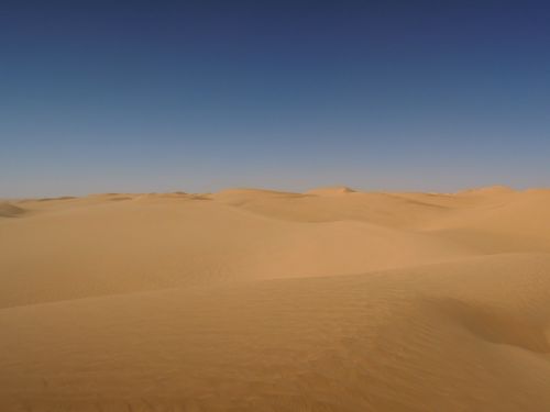 Dykuma, Smėlis, Algeria, Sahara