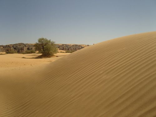 Dykuma, Algeria, Sahara, Smėlis, Kopos, Djanet