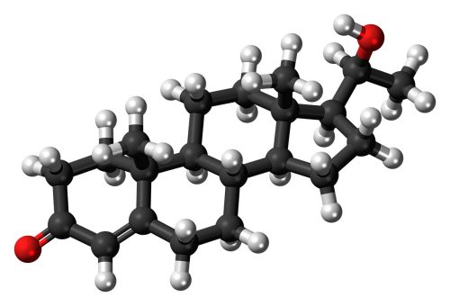 Dihidroprogesteronas, Molekulė, Steroidas, Modelis, Chemija, Ciklinis, Ekologiškas, Rutulys Ir Lazdelė