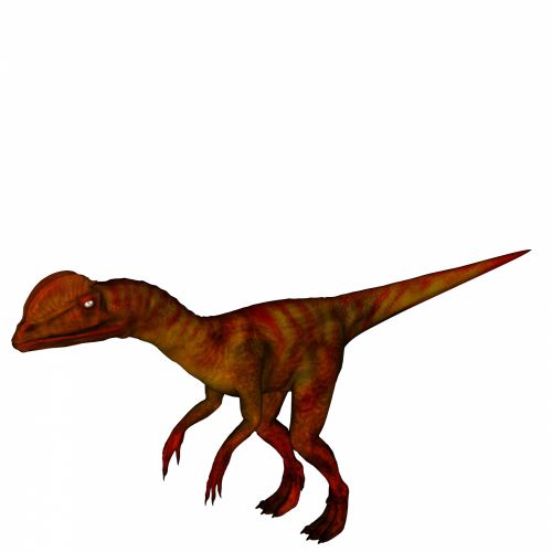 Dilophosaurus,  Gyvūnas,  Izoliuotas,  Balta,  Fonas,  Jurassic,  Dinozauras,  Plėšrūnas,  3D,  Dilophosaurus