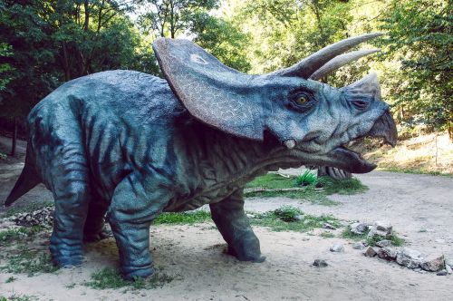 Dinoparkas, Dinozauras, Tricerapto