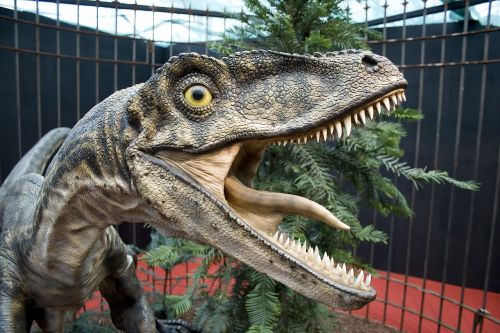 Dinos, Velociraptor, Raptoriai, Dinozauras