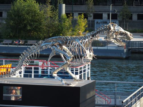 Dinozauras, T-Rex, Paris, Seine, Pinigai, Menas, Skulptūra