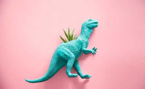 Dinozauras, Kaktusas, Sultingas