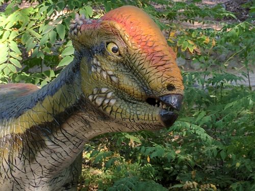 Dinozauras,  Dinozaurai,  Jurų & Nbsp,  Parkas,  Jurų & Nbsp,  Laikotarpis,  Dinozauras