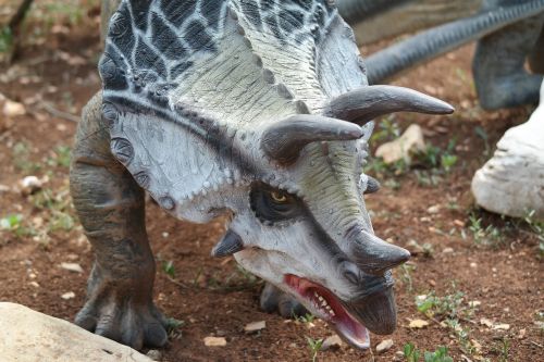 Dinozauras, Pramogų Parkas, Priešistoriniai Laikai, Dinopark Funtana, Kroatija