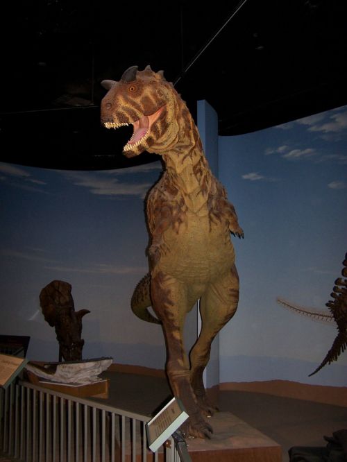 Dinozauras, Muziejus, Modelis, Paleontologija, Išnykęs, Priešistorinis