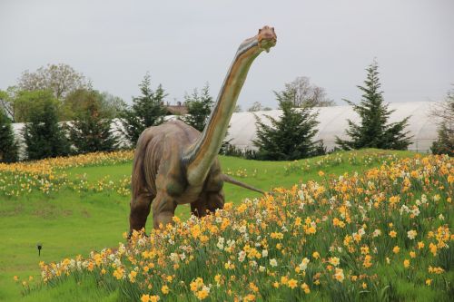 Dinozauras, Jūros Periodo Parkas, Žydėjimo Laukas, Statula