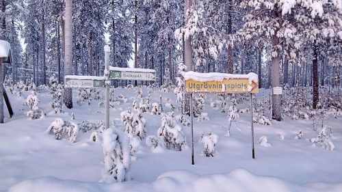 Katalogas, Snieguotas, Žiemą, Skydas, Laplandas, Švedija