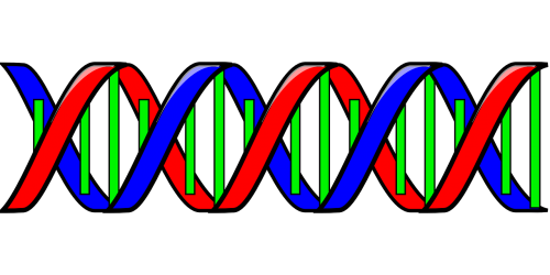 Dna, Genetinis Kodas, Dviguba Spiralė, Mokslas, Biologija, Spiralė, Ląstelės, Rna, Genetika, Genai, Nemokama Vektorinė Grafika