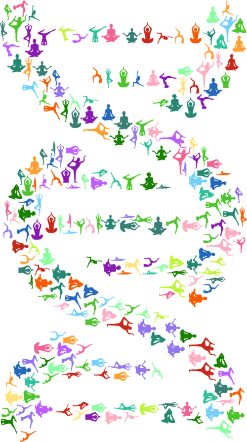 Dna, Deoksiribonukleorūgštis, Joga, Zen, Meditacija, Buda, Budizmas, Atsipalaidavimas, Ramus, Ramybė, Abstraktus, Geometrinis, Menas, Pratimas, Moteris, Fitnesas, Mergaitė, Sveikata, Žmogus, Žmonės, Asmuo, Kelti, Siluetas, Ištempimas, Moteris, Molekulės, Molekulinė, Medicina, Medicinos, Biologija, Mokslas, Tyrimai, Ląstelinis, Nemokama Vektorinė Grafika