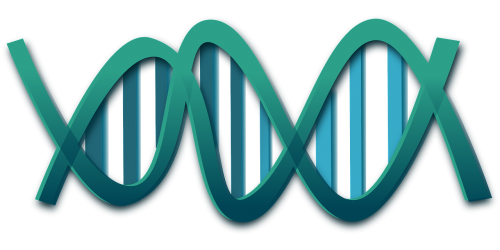 Dna, Spiralė, Genai, Mokslas, Rna, Molekulės, Biologija, Nemokama Vektorinė Grafika