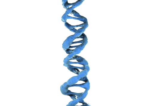 Dna 3D, Dna, Mėlyna Dna