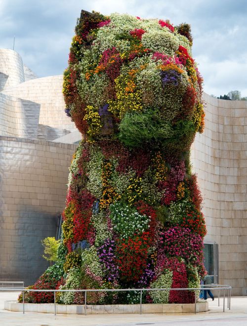 Šuo, Jeff Koons, Guggenheimas, Muziejus, Gėlės, Lankytinos Vietos, Architektūra, Meno Kūriniai, Pritraukimas, Ispanija, Gėlė