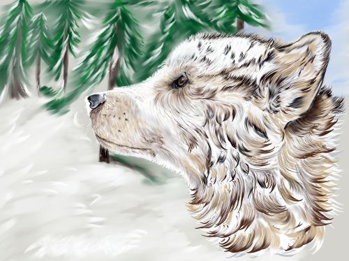 Šuo, Žiema, Sniegas, Skaitmeniniai Meno Kūriniai, Menas