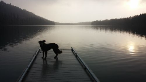 Šuo, Ežeras, Prieplauka, Oregonas, Suttle Ežeras