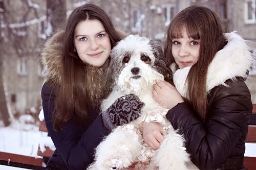 Šuo, Balta, Sniegas, Mergaitės, Žiema