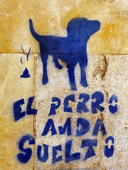 Šuo, Mėlynas, Grafiti, Booger, Gatvės Menas