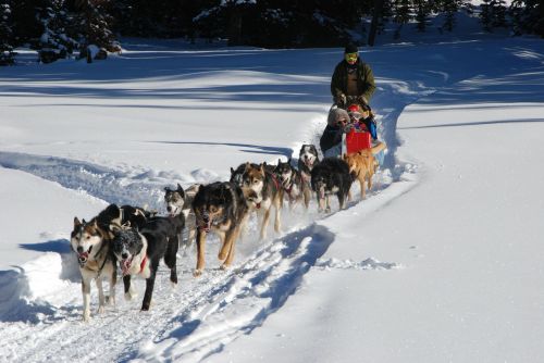 Šunų Keltuvai, Žemyninė Divizija, Žiemos Atostogos, Husky, Huskies, Kelnės