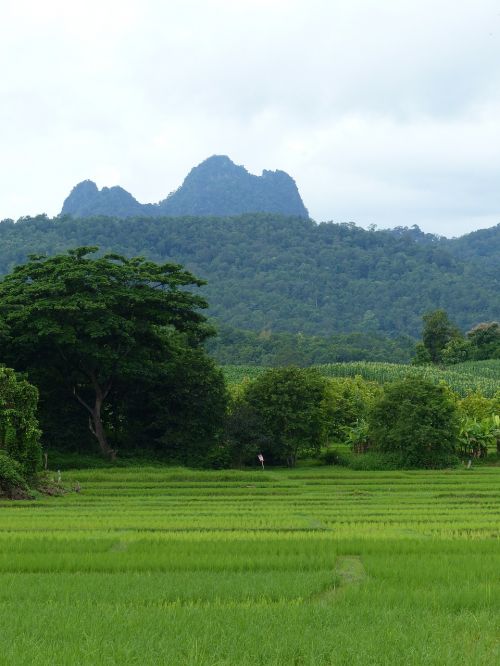 Doi Tao, Kalnas, Lampang, Tailandas