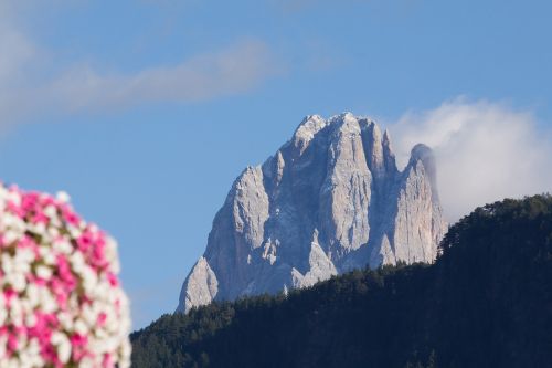 Dolomitai, Italy, South Tyrol, Kraštovaizdis, Sassolungo, Kalnas, Alpių, Rokas
