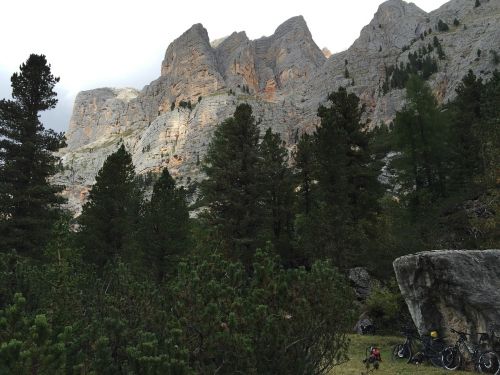 Dolomitai, Kalnai, Kraštovaizdis, Gamta, Miškas, Italy