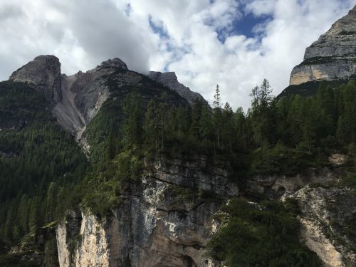 Dolomitai, Kalnai, Kraštovaizdis, Gamta, Miškas, Italy