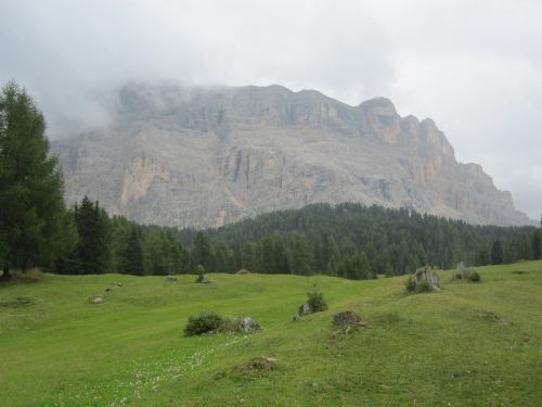 Dolomitai, Kalnai, Kraštovaizdis, Gamta, Miškas, Italy