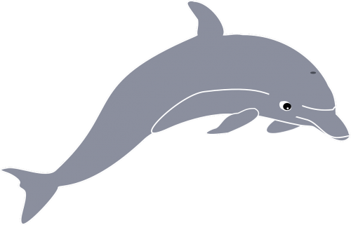 Delfinas, Šokinėja, Gyvūnas, Banginių Šeimos Gyvūnas, Žinduolis, Pilka, Nemokama Vektorinė Grafika