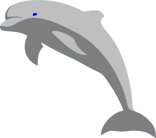 Delfinas, Žuvis, Kiaulės, Jūros Žinduolis, Šokinėjantis Delfinas, Nemokama Vektorinė Grafika