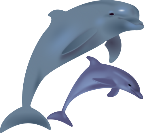 Delfinai, Žuvis, Jūros Gyvenimas, Jūros Žinduolis, Žinduolis, Nemokama Vektorinė Grafika