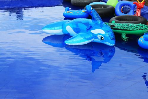 Delfinai, Žaislai, Mėlynas Vanduo, Žuvis, Vaikų Žaidimai