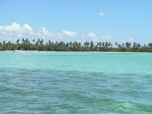 Dominikos Respublika, Karibai, Jūra, Gamta, Mėlynas, Vanduo, Delnus
