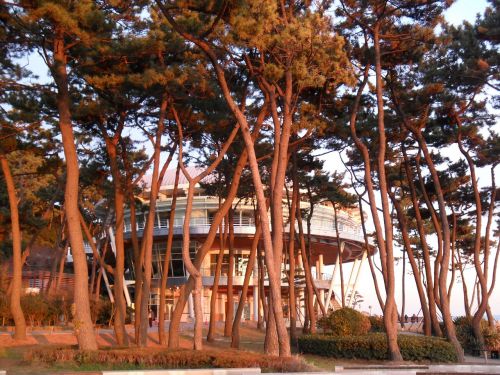 Dongbaek Sala, Nuri Grindų Danga, Švytėjimas, Mediena, Haeundae Paplūdimys, Busan, Jūra