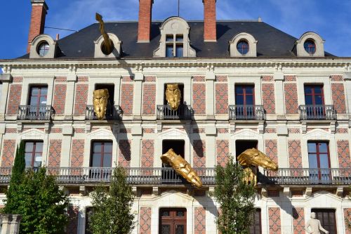 Drakonas,  Magijos Namai,  Drakonai,  Langas,  Plytų Namas,  Blois,  France,  Houdinas