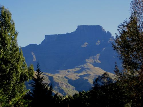 Kraštovaizdis,  Kalnai,  Mėlynas,  Veld,  Medžiai,  Drakensberg Kwazulu Natal