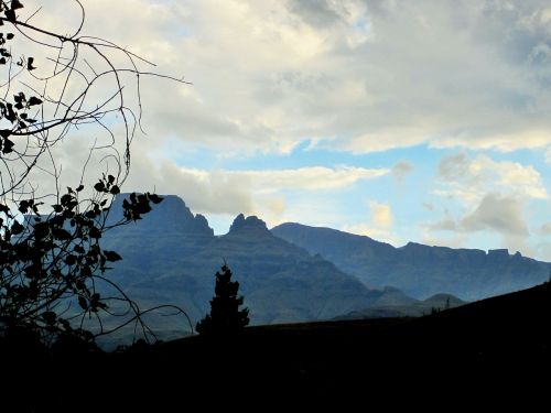 Drakenso Kalnai, Kalnai, Toli, Mėlynas, Medžiai, Šepetys, Nuolydis