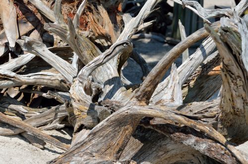 Driftwood,  Mediena,  Gamta,  Vandenynas,  Abstraktus,  Fonas,  Naršyti,  Medis,  Lauke,  Kraštovaizdis,  Driftwood