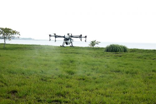Drone Asperjando, Drone Ūkis, Fumigacija, Purkšti, Auginimas, Žemdirbystė, Kolumbija, Jūros Lygis, Geras Lašas