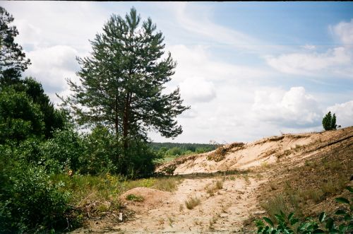 Medis,  Lenkija,  Buko Medis Bilgaraj