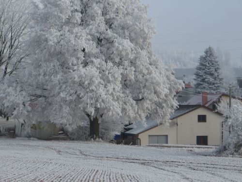 Žiema,  Šaltis,  Namas,  Namas Žiemą