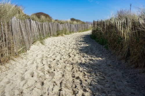 Dune,  Smėlis,  Zeen,  Papludimys,  Smėlio Kopos,  Šilumos,  Tekstūra