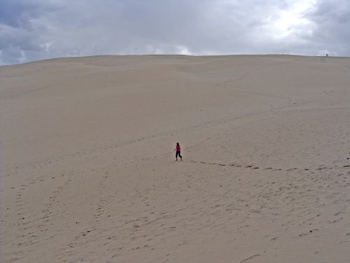 Kopos, Soledad, Dykuma, France, Dune Du Pilat