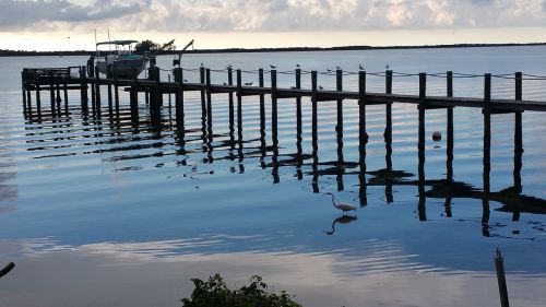 Dunedinas, Prieplauka, Florida