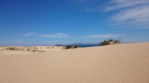 Kopos, Smėlis, Corralejo, Alyvuogių, Fuerteventura