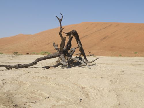 Kopos, Namibija, Dykuma