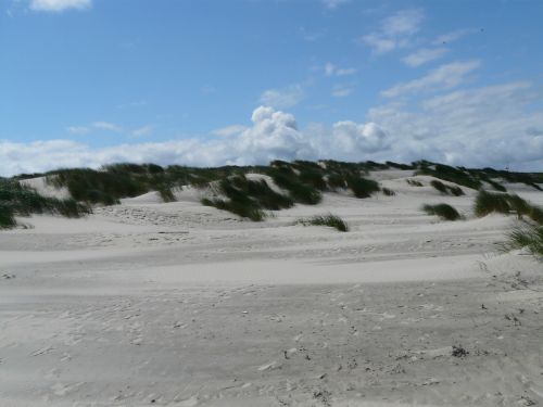 Kopos, Šiaurės Jūra, Jūra, Papludimys, Smėlis, Marram Žolė, Ammophila, Žolė, Saldymedis, Poaceae, Kopos