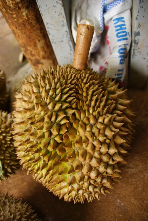 Durian, Egzotiškas, Vaisiai, Atogrąžų, Asian, Turgus, Baisus, Geltona, Skonis